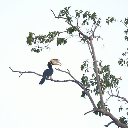 קטרגמה Pelican View Cottages מראה חיצוני תמונה