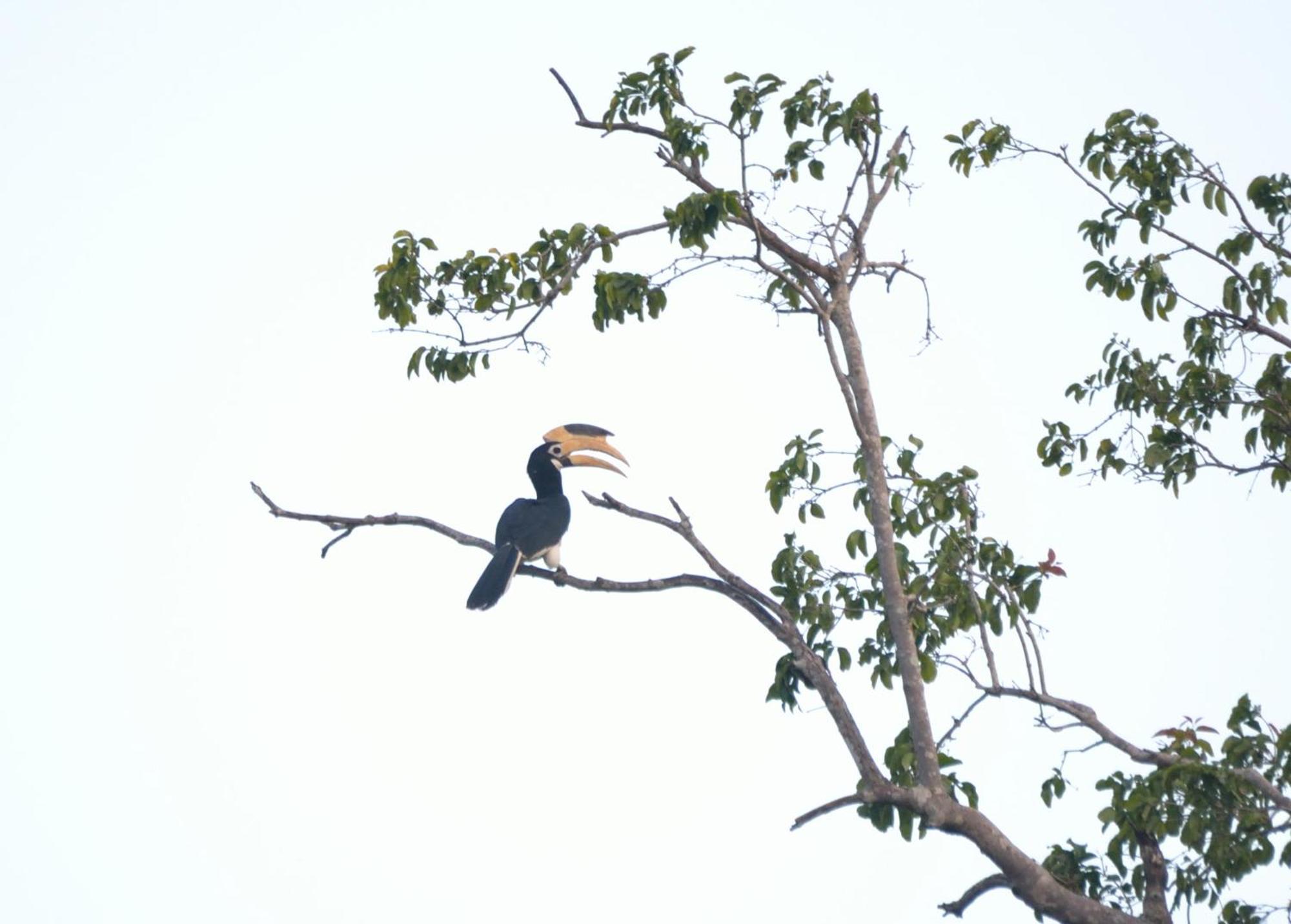 קטרגמה Pelican View Cottages מראה חיצוני תמונה